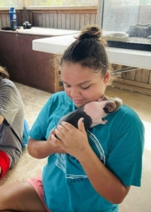 Nacho, the hairless guinea pig, on a campers chest